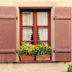 4 Things To Consider While Choosing Window Shutters
