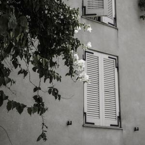 3 Things to Know About Window Shutters