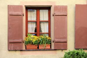 4 Vital Roles of Top-Shelf Window Shutters in Toronto Homes