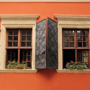 5 Factors To Consider Before Purchasing Window Shutters
