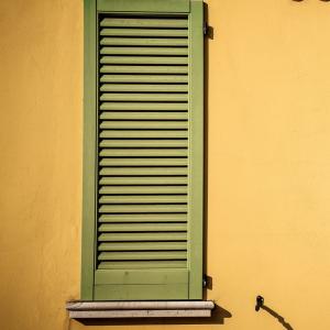 5 Ways To Protect Your Wooden Window Shutters From Termites