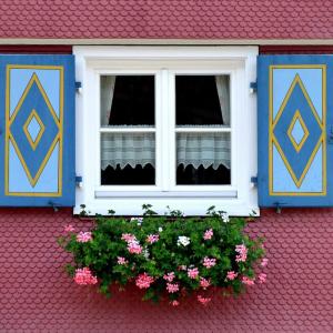 Selecting The Right Colour For Your Window Shutters