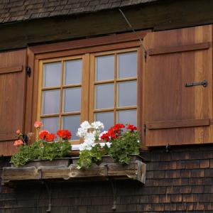 Major Pros And Cons Of Staining Wood Shutters