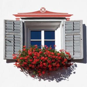 The Differences Between Exterior and Interior Window Shutters