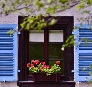 The Most Popular Designs for Window Shutters
