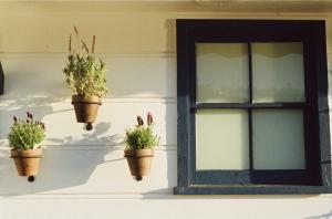 The Perfect Window Shutters for Your Home