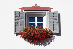 What Are Window Shutters? 