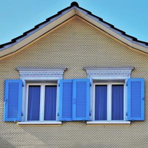 Why You Should Opt for Custom Window Shutters 