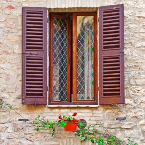 Window Shutters: The Most Cost-Effective Window Treatment